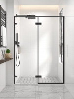 Душевая дверь распашная 1200x2000 цвет профиля Чёрный матовый стекло прозрачное осветленное AL-120-00-B-C4 Premium Veconi